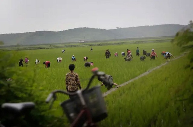 He mo cuoc song bi an cua nguoi lao dong Trieu Tien-Hinh-3