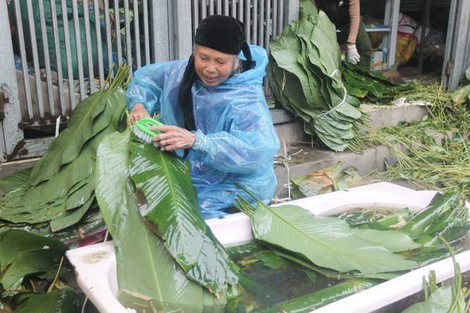 Nghe rua la dong hai ra tien o cong xuong banh chung lon nhat mien Bac-Hinh-4