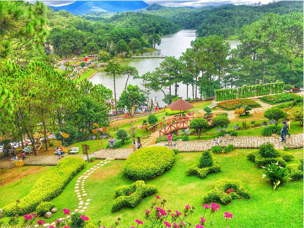 Thien duong Da Lat nhat dinh phai den nhan luc gia ve may bay re beo-Hinh-8