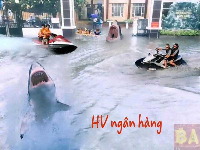 Ha Noi ngap nuoc, san cac truong dai hoc lon bong bi che anh-Hinh-3