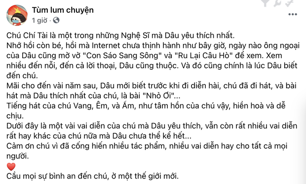 Dan tinh ve tung vai dien de doi NS Chi Tai gay nghen ngao-Hinh-2
