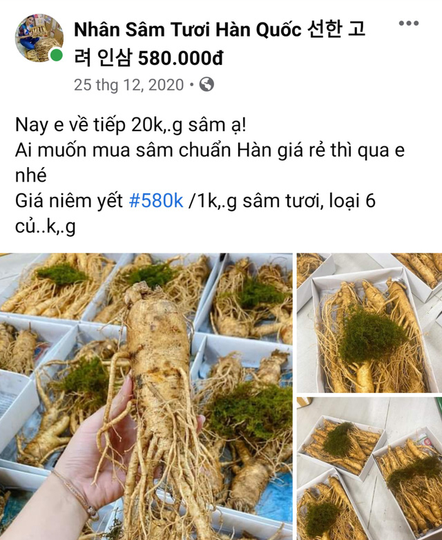 Sam tuoi Han Quoc gia 500.000 dong/kg?-Hinh-3