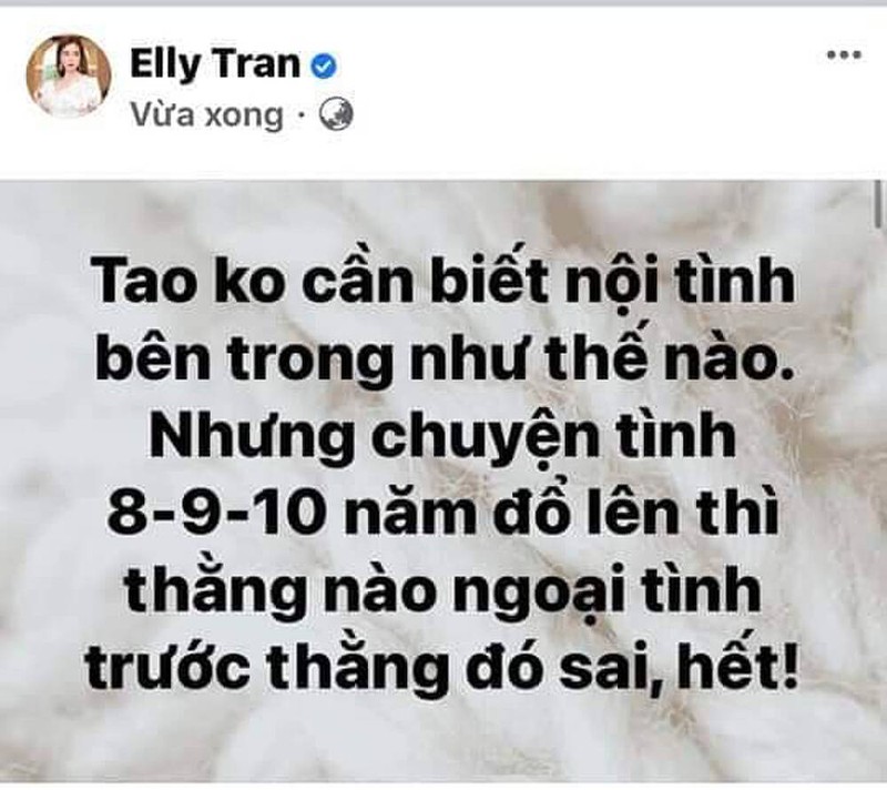 Elly Tran bi fan Son Tung 