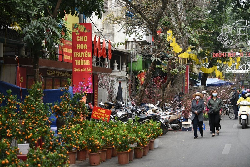 Cho hoa canh ngay giap Tet: Gia ca the nao.... chu buon ngam ngui?-Hinh-4