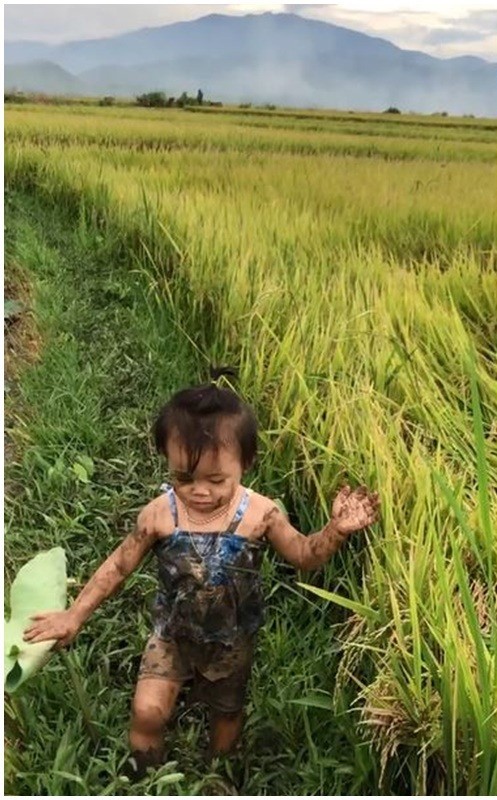 De con gai ngoan hien, me di vang ve ta hoa voi canh nay-Hinh-4