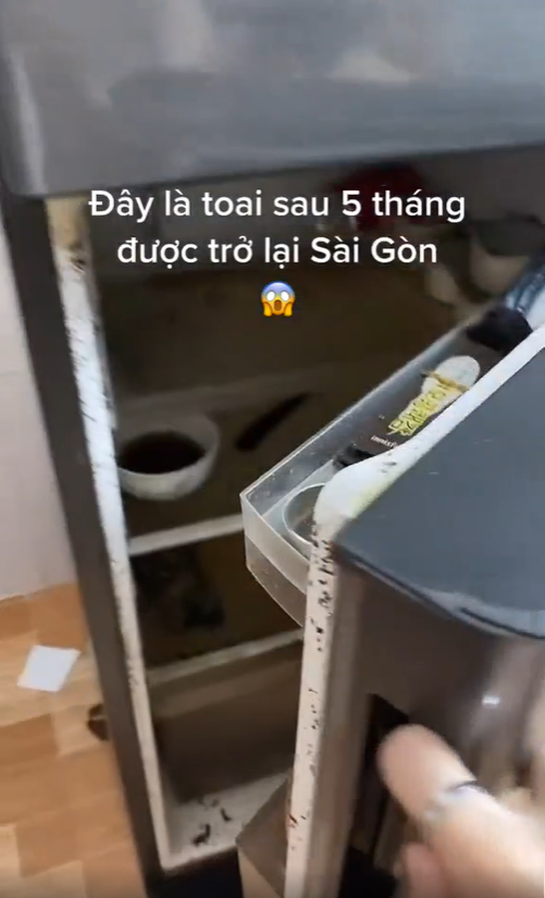 5 thang tro lai Sai Gon, chu nhan mo tu lanh va khoc thet-Hinh-3