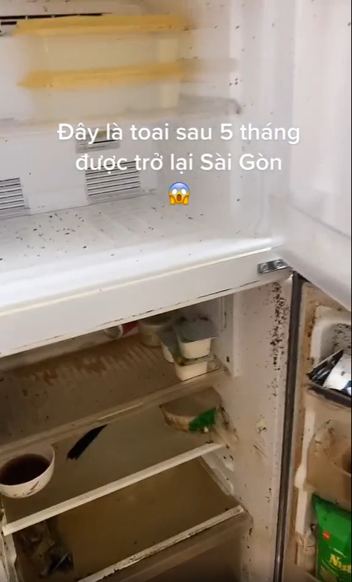 5 thang tro lai Sai Gon, chu nhan mo tu lanh va khoc thet-Hinh-7