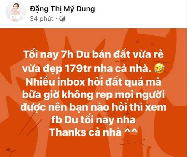 Duoc nho ban ho 38 lo dat, 