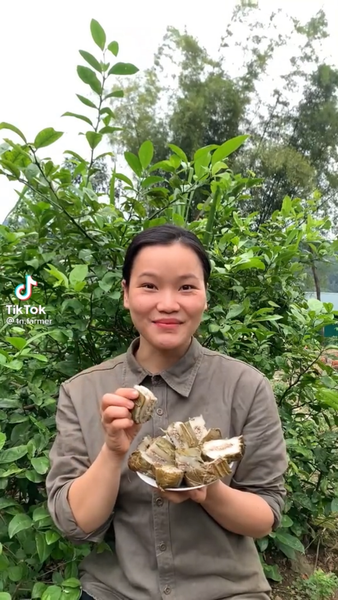 Dan TikToker mien son cuoc binh di noi khong voi thi phi, cau view-Hinh-6