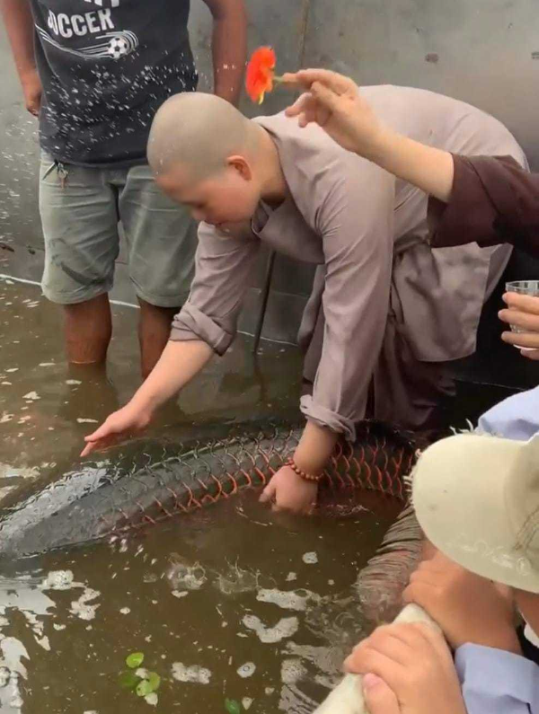 Phong sinh ca hai tuong long, netizen tranh cai lam thien hay gay hai-Hinh-8