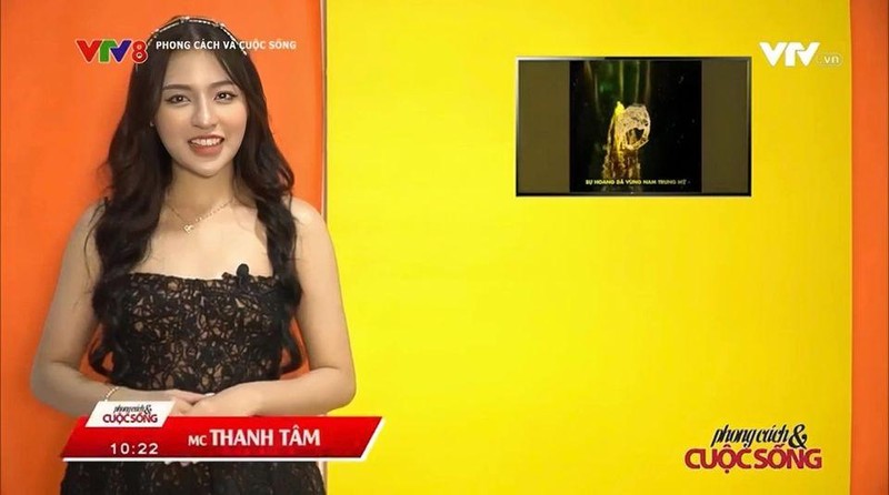 Lam MC VTV, gai xinh Tran Thanh Tam khien nhieu nguoi ngo ngang-Hinh-5