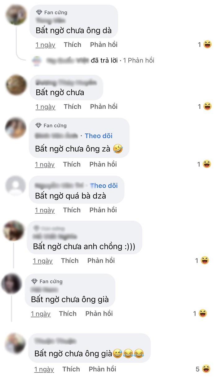 Cau noi viral “bat ngo chua ba gia” gay tranh cai lon vi dau?-Hinh-6