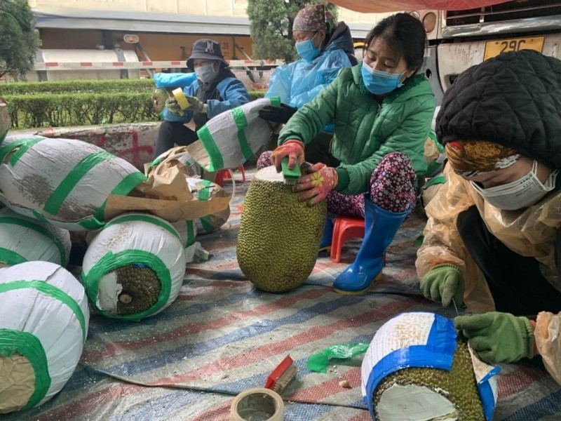 Viec nhe luong cao o Viet Nam nhieu nghe nghe... la tai-Hinh-4