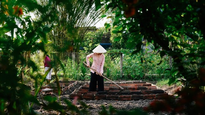 Bo thanh pho voi muc luong kha, co gai Quang Nam ve que lam ruong-Hinh-4