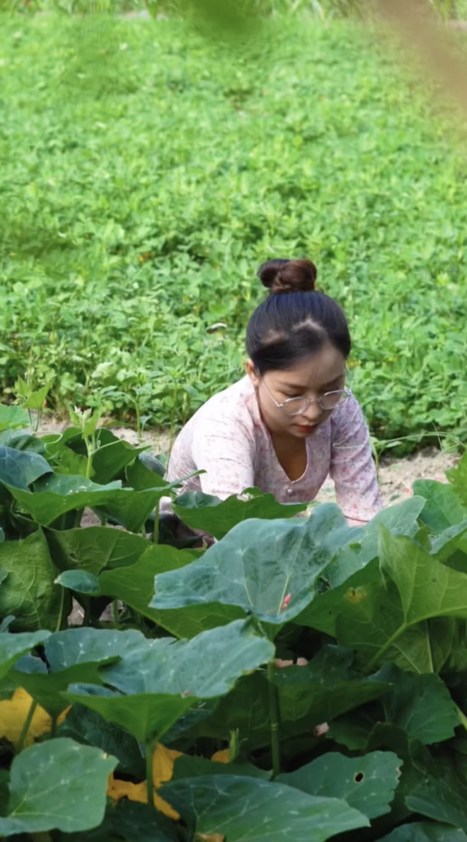 Bo thanh pho voi muc luong kha, co gai Quang Nam ve que lam ruong-Hinh-6