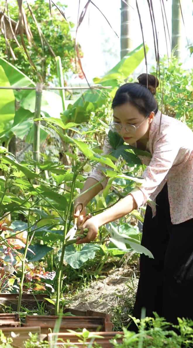 Bo thanh pho voi muc luong kha, co gai Quang Nam ve que lam ruong-Hinh-7