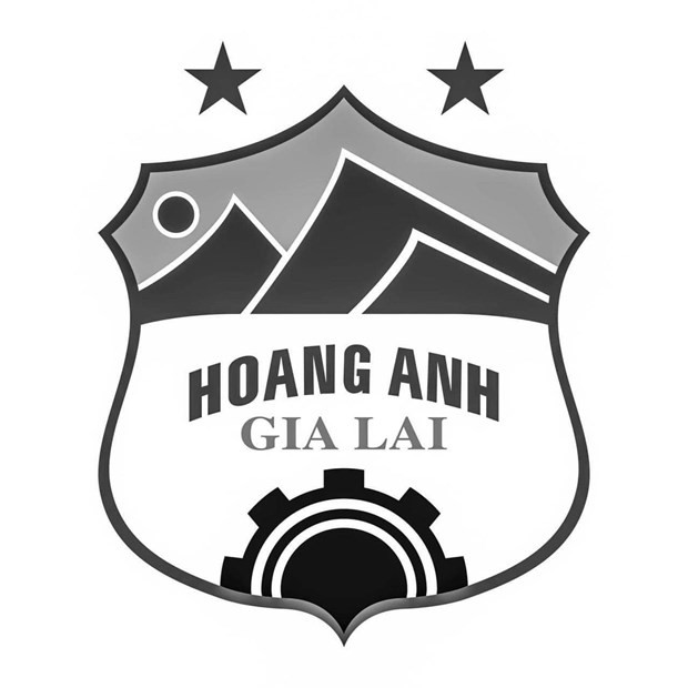 Bong da Viet Nam se chia noi mat mat to lon cua Hoang Anh Gia Lai-Hinh-2