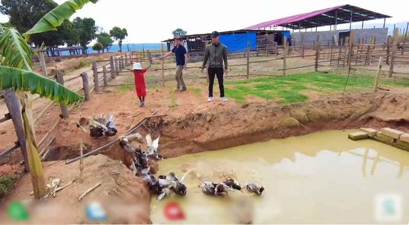 Di tham trang trai cung Quang Linh Vlogs, Loi con quay 