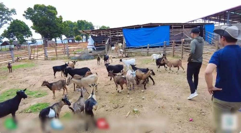 Di tham trang trai cung Quang Linh Vlogs, Loi con quay 