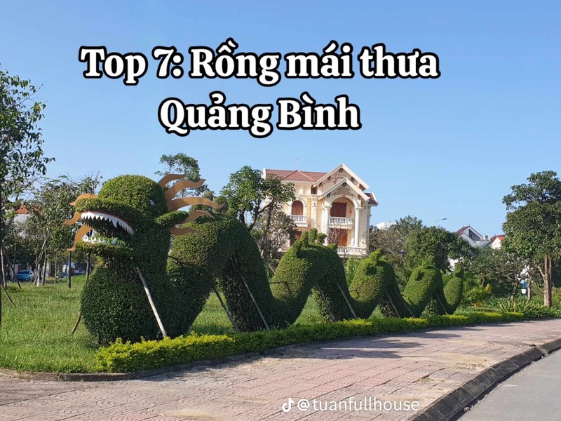 Cuoc dua danh hai linh vat rong Tet lam netizen cuoi ngat-Hinh-2