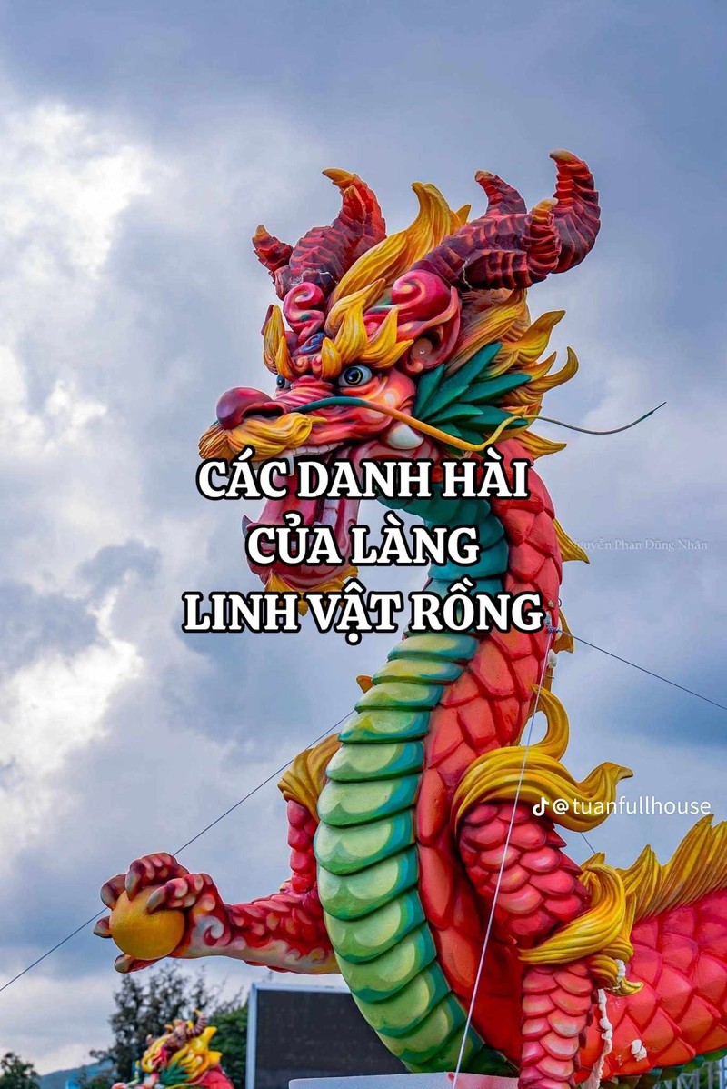 Cuoc dua danh hai linh vat rong Tet lam netizen cuoi ngat