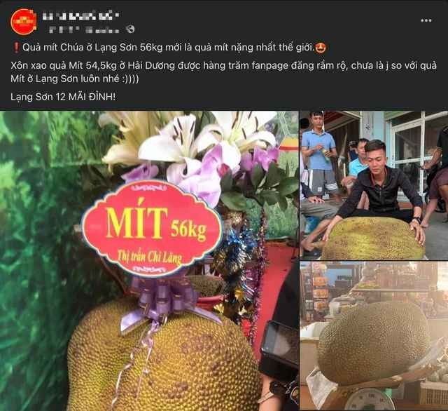 Doc la Viet Nam: Qua mit khong lo vuot xa ky luc the gioi-Hinh-2