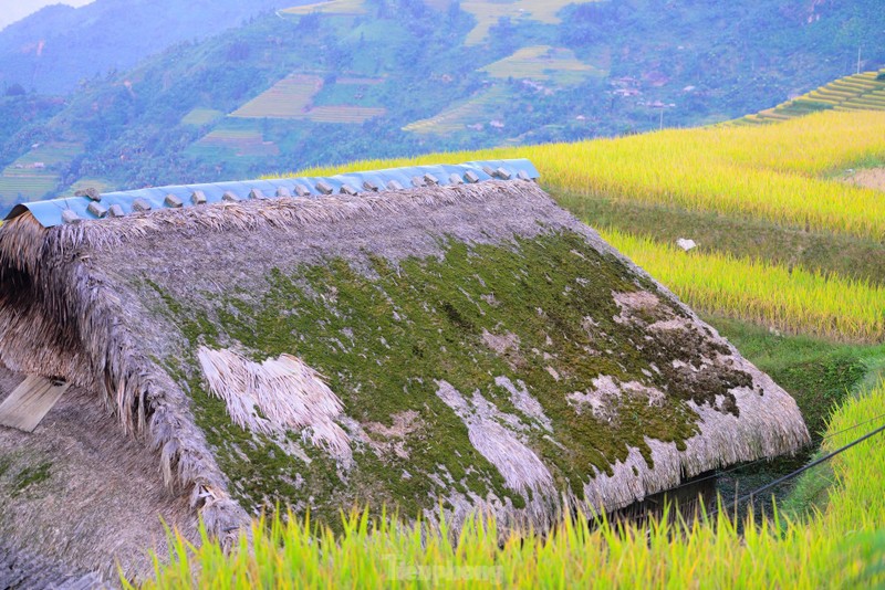 Nhung mai nha biet 'bien hinh' o Ha Giang-Hinh-12