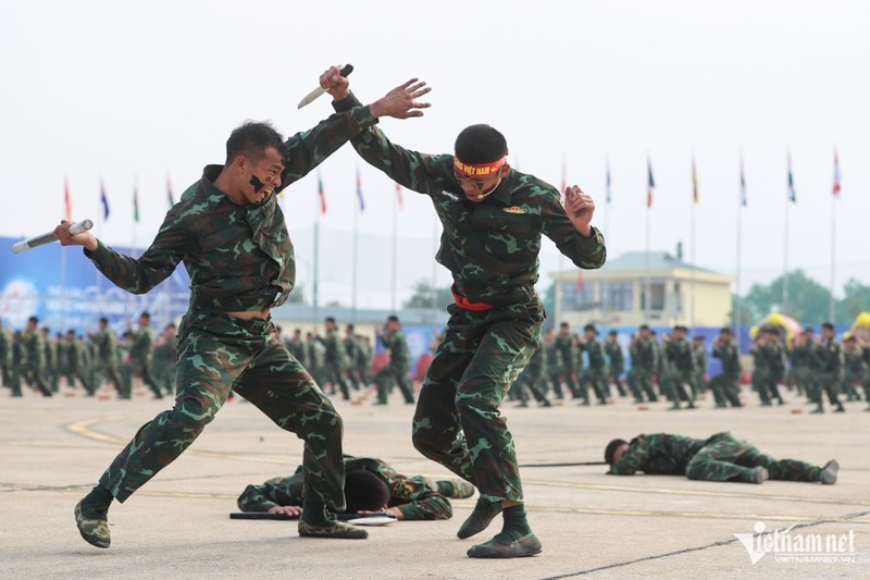 Tiem kich nhao lon tren troi Ha Noi, dac cong pho dien vo thuat-Hinh-11