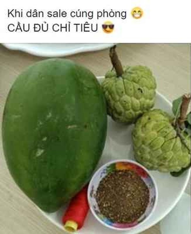 Dan van phong cung mam ngu qua “cau vua qua chi tieu“-Hinh-4