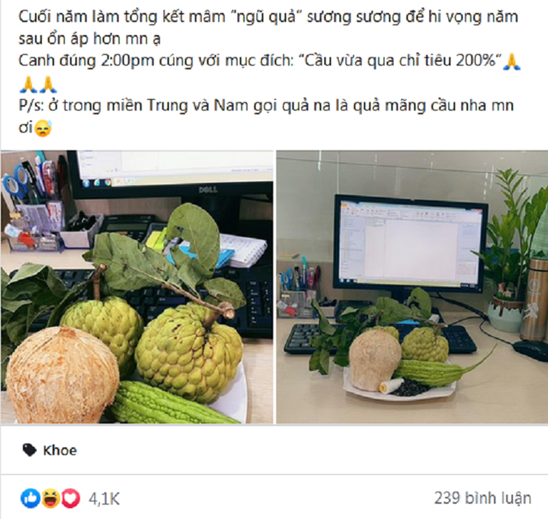 Dan van phong cung mam ngu qua “cau vua qua chi tieu“