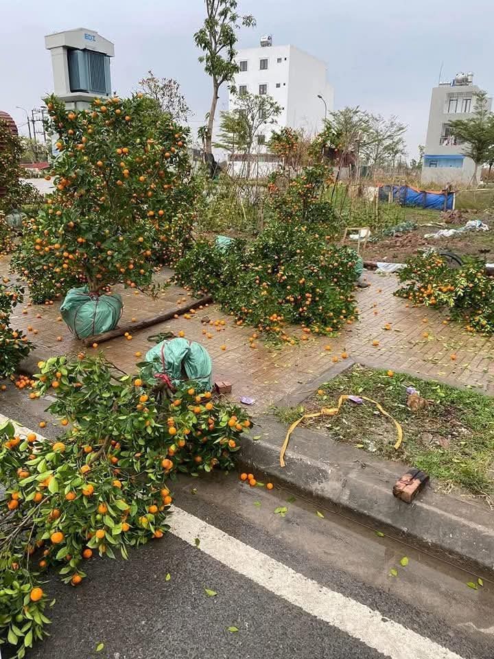 Gio manh trong dem, quat, dao do la liet, tieu thuong lo mat Tet-Hinh-3