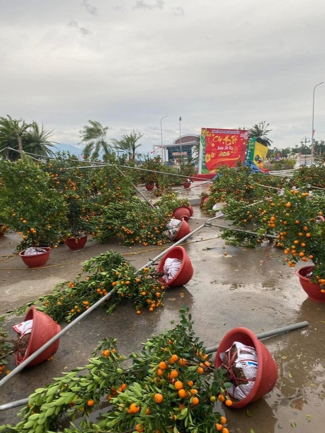 Gio manh trong dem, quat, dao do la liet, tieu thuong lo mat Tet-Hinh-5