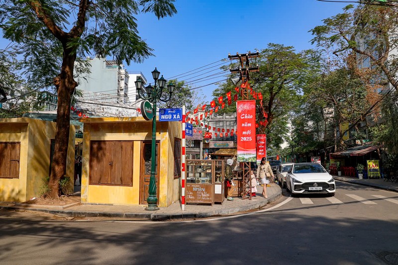 Ha Noi: Lo dien diem du xuan moi tai Dao Ngoc - Ngu Xa-Hinh-10