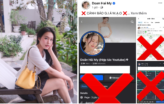 Doan Hai My ra canh bao nhieu tai khoan gia mao-Hinh-2