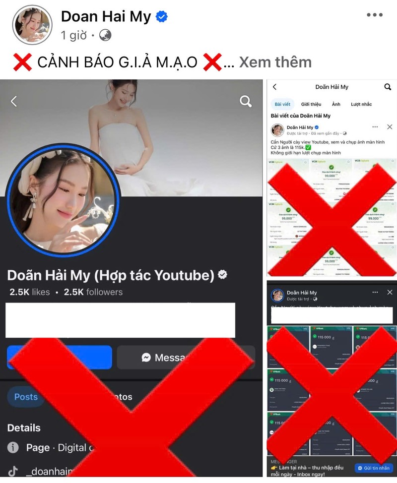 Doan Hai My ra canh bao nhieu tai khoan gia mao