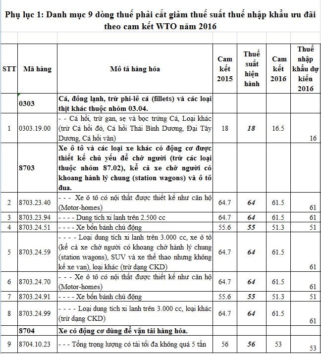 Cat giam 8 dong thue voi oto nhap khau tu nam 2016-Hinh-2