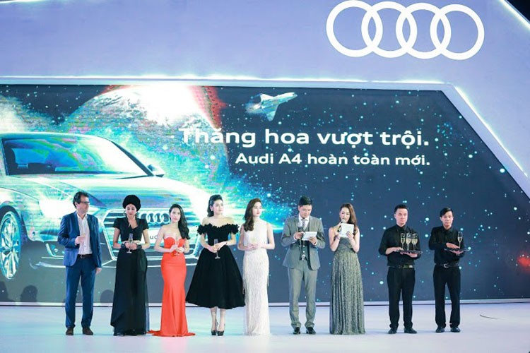 Dan sao Viet do bo Audi Progressive 2016 tai Ha Noi-Hinh-12