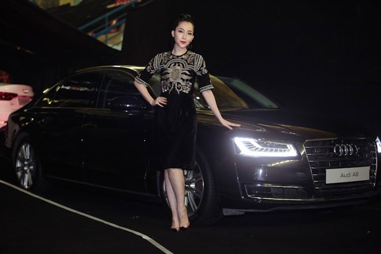 Dan sao Viet do bo Audi Progressive 2016 tai Ha Noi-Hinh-9