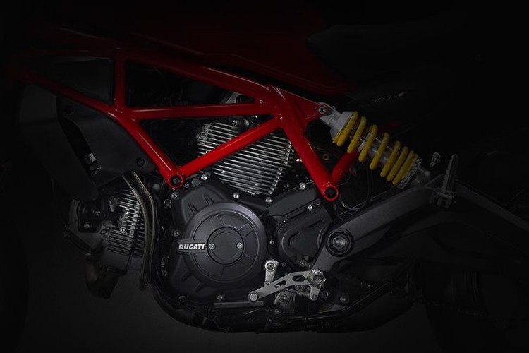 Ducati Monster 797 se co gia duoi 300 trieu tai VN?-Hinh-9