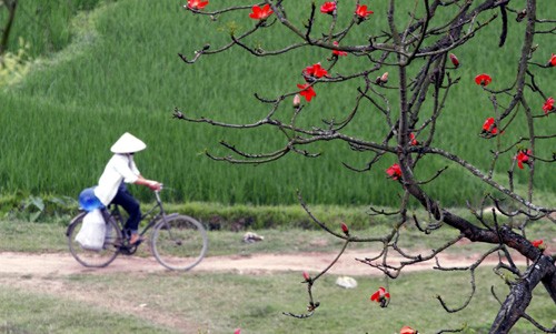 Thoi tiet hom nay 24/3: Ha Noi tiep tuc oi nang