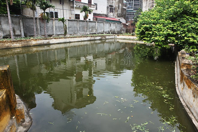 Bi an thanh ngu “vang nhu chua Ba Danh” ngay giua long Ha Noi-Hinh-4