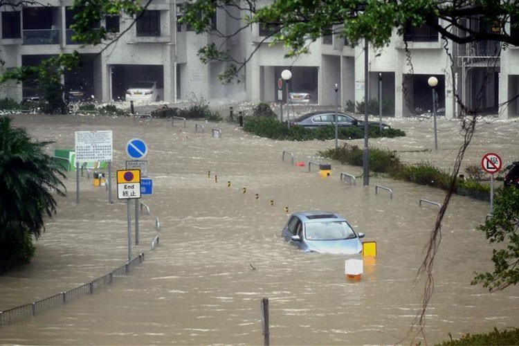 Hang loat sieu xe va xe sang hong nang sau bao Mangkhut-Hinh-5