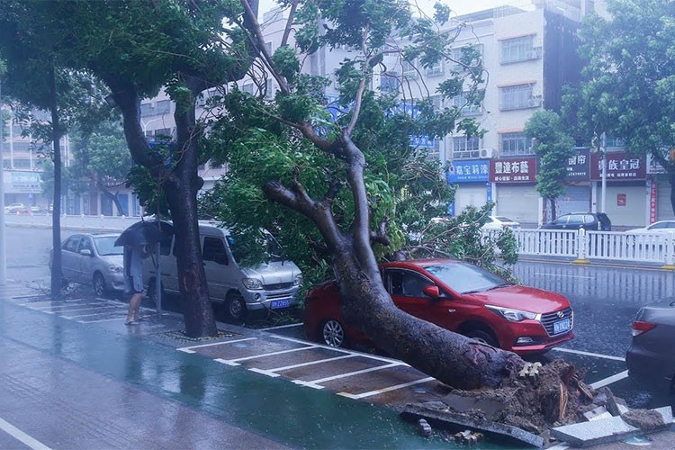 Hang loat sieu xe va xe sang hong nang sau bao Mangkhut-Hinh-7