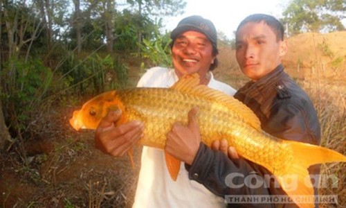 San 'bau vat' duoi Bien Ho: Cua hiem, vat la o ho nuoc ngot huyen bi-Hinh-3