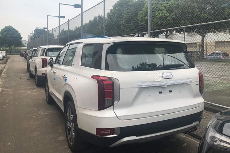 Ca dan xe Hyundai Palisade 2020 un un ve Viet Nam-Hinh-7