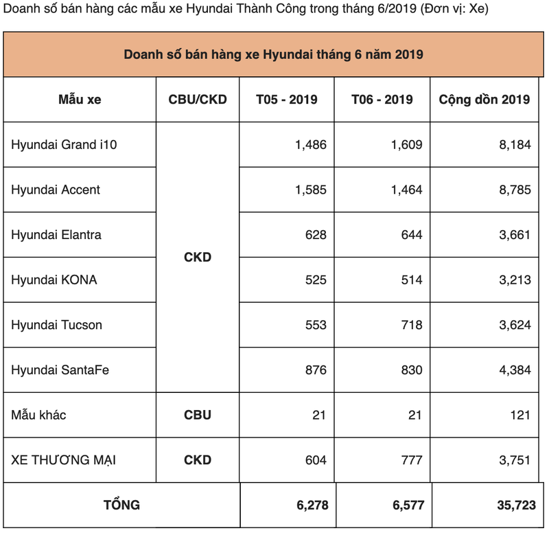 Hon 6.500 xe oto Hyundai den tay khach Viet thang 6/2019-Hinh-2