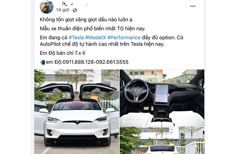 Can canh Tesla Model X dang rao ban hon 7 ty tai Viet Nam-Hinh-2