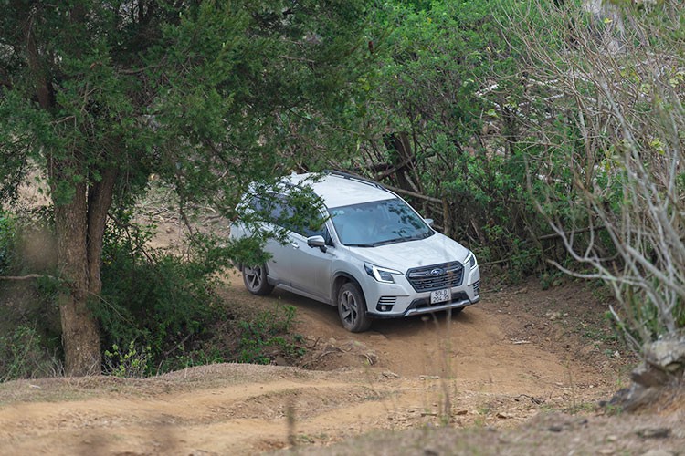 Subaru Forester 2023 tu 969 trieu tai Viet Nam va nhung diem 