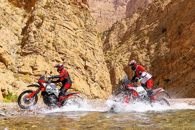 Ducati DesertX Rally 2023 - 