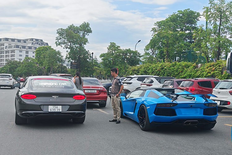 Dai gia Hai Phong mang dan 